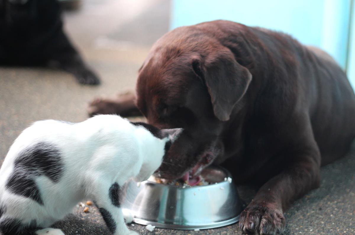 467496_10151181915541310_1989084270_o