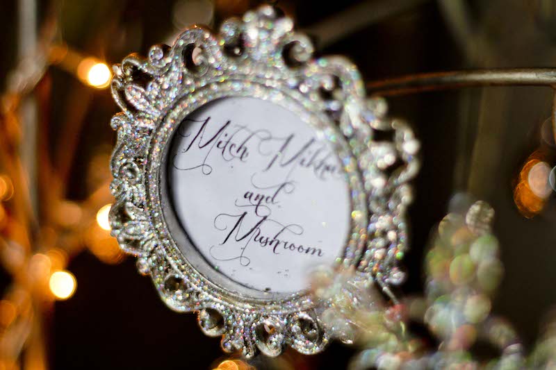 Family Christmas Tree15