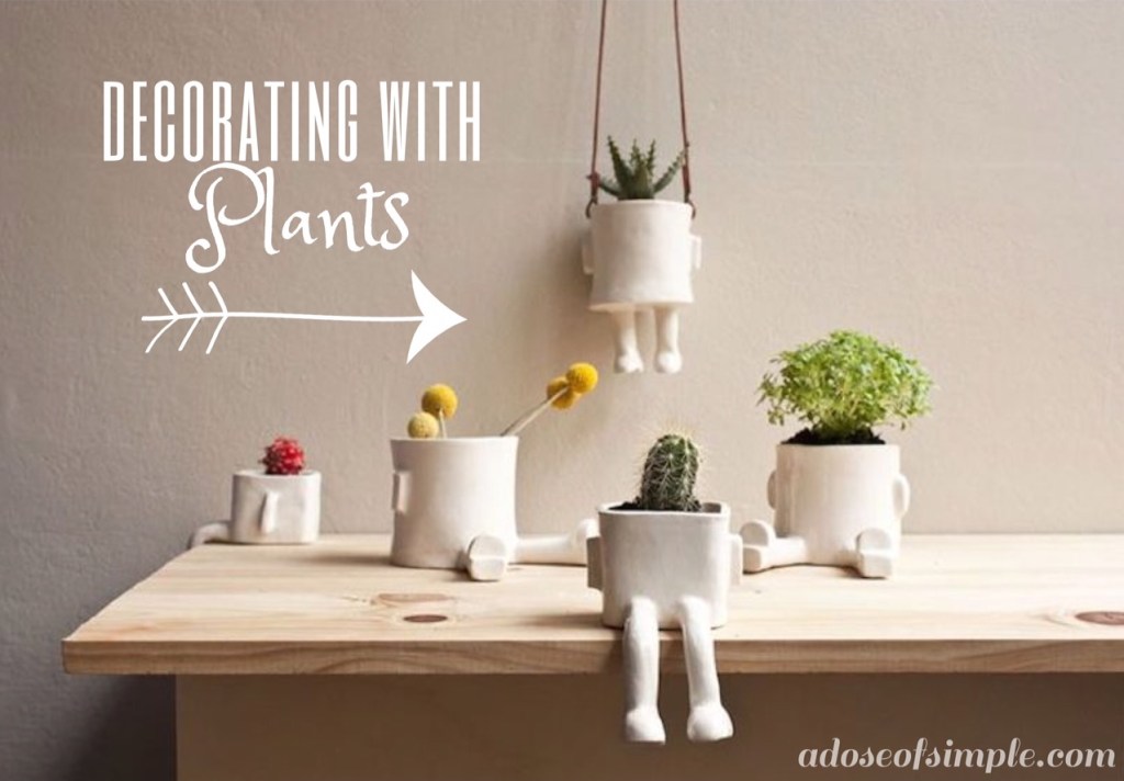 decoratingwithplantsgfx