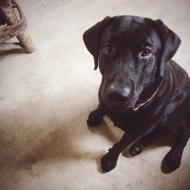 a dose of simple aslum 5