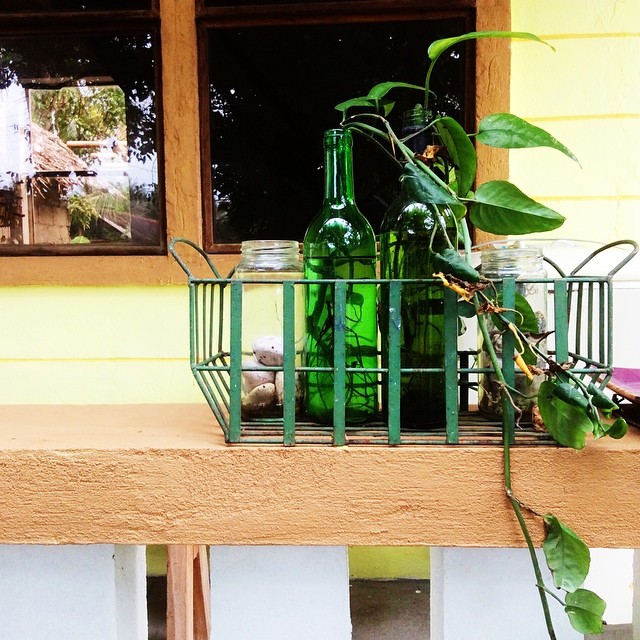 a dose of simple aslum 7