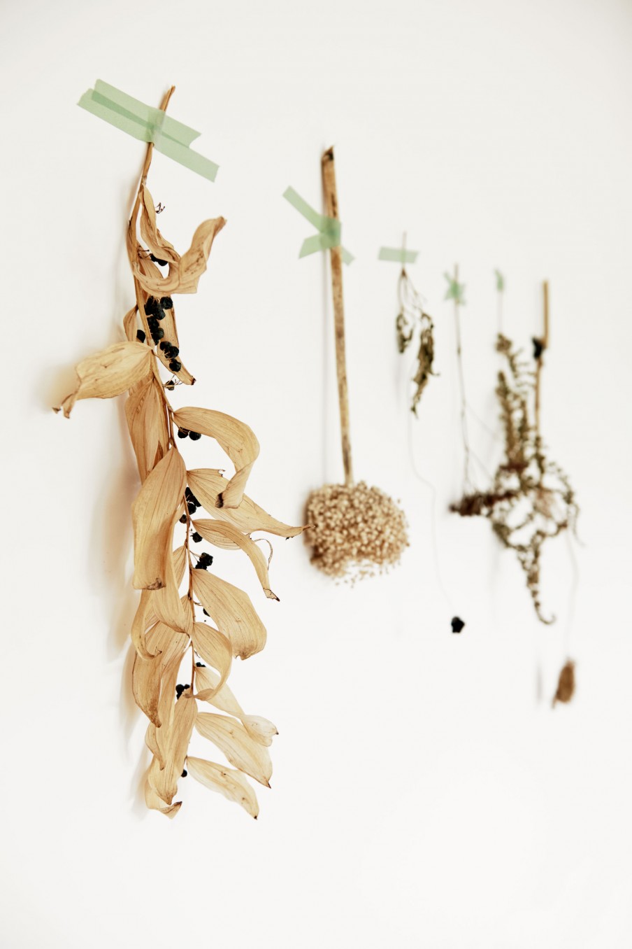 10-gedroogde-takken-adoseofsimple