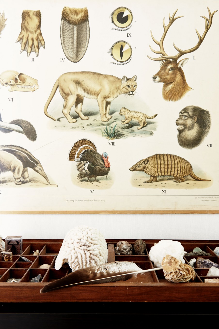 14-oude-school-kaart-adoseofsimple