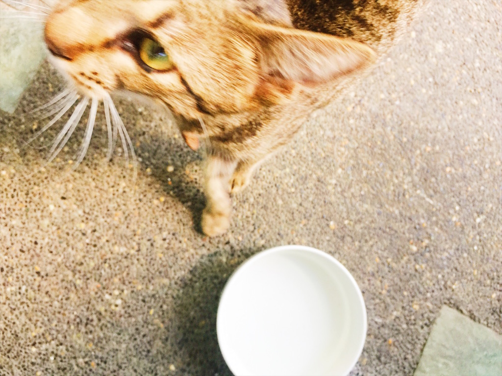 adoseofsimple_home_11