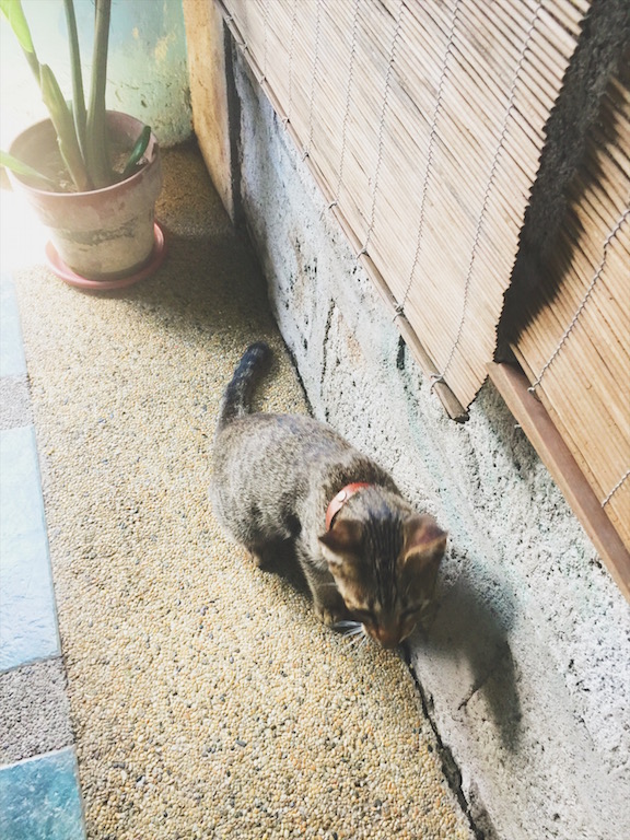 adoseofsimple_home_13