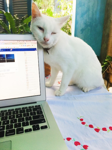 adoseofsimple_home_15