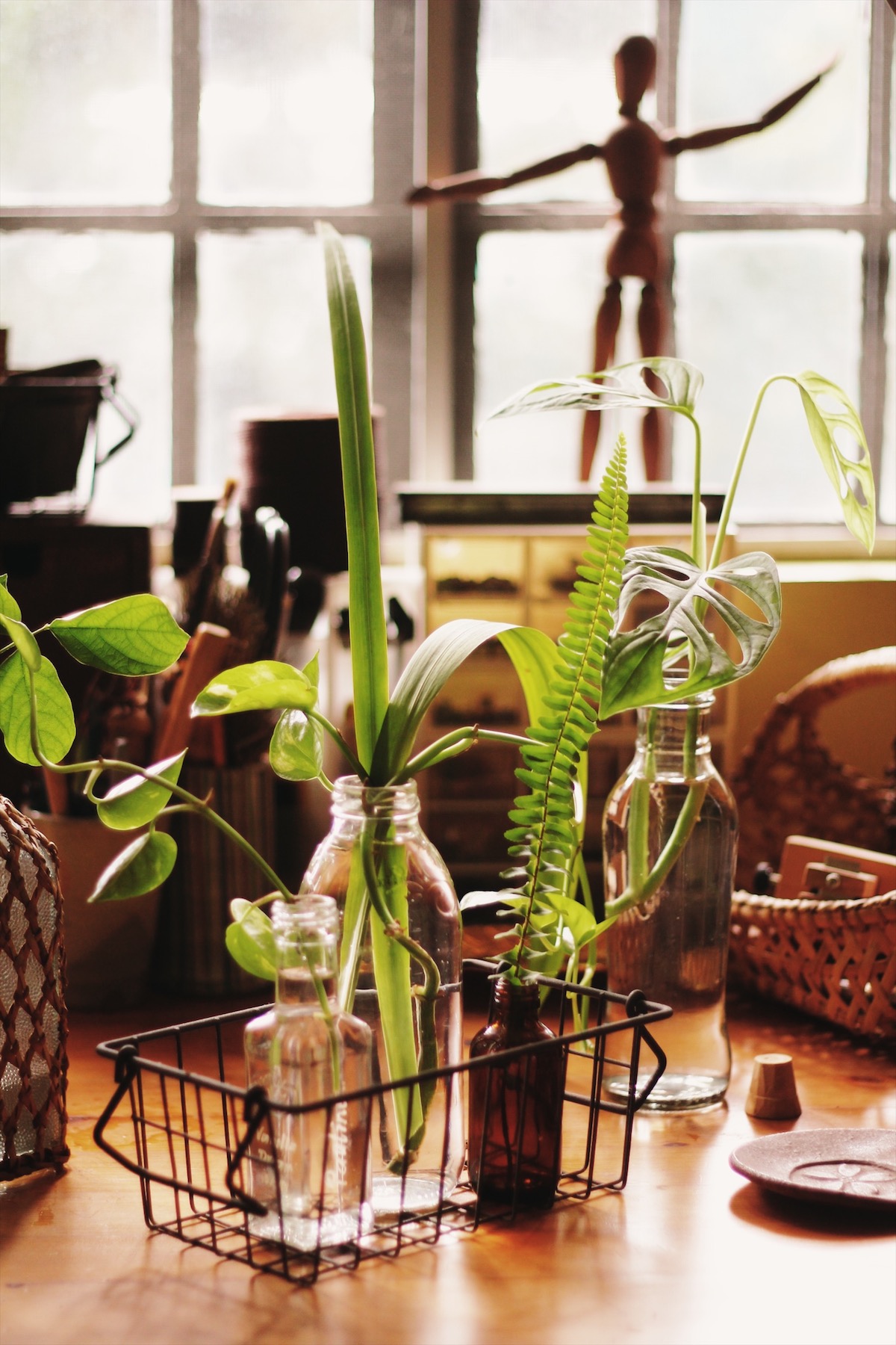 Processed with VSCO with s6 preset