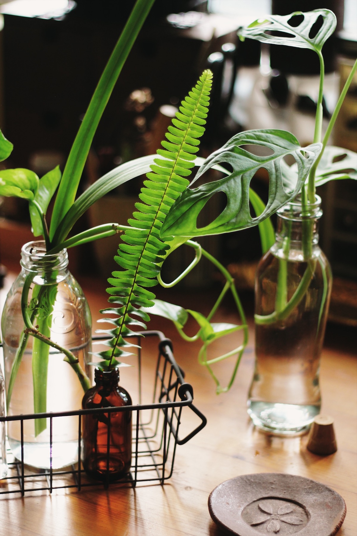 Processed with VSCO with s6 preset