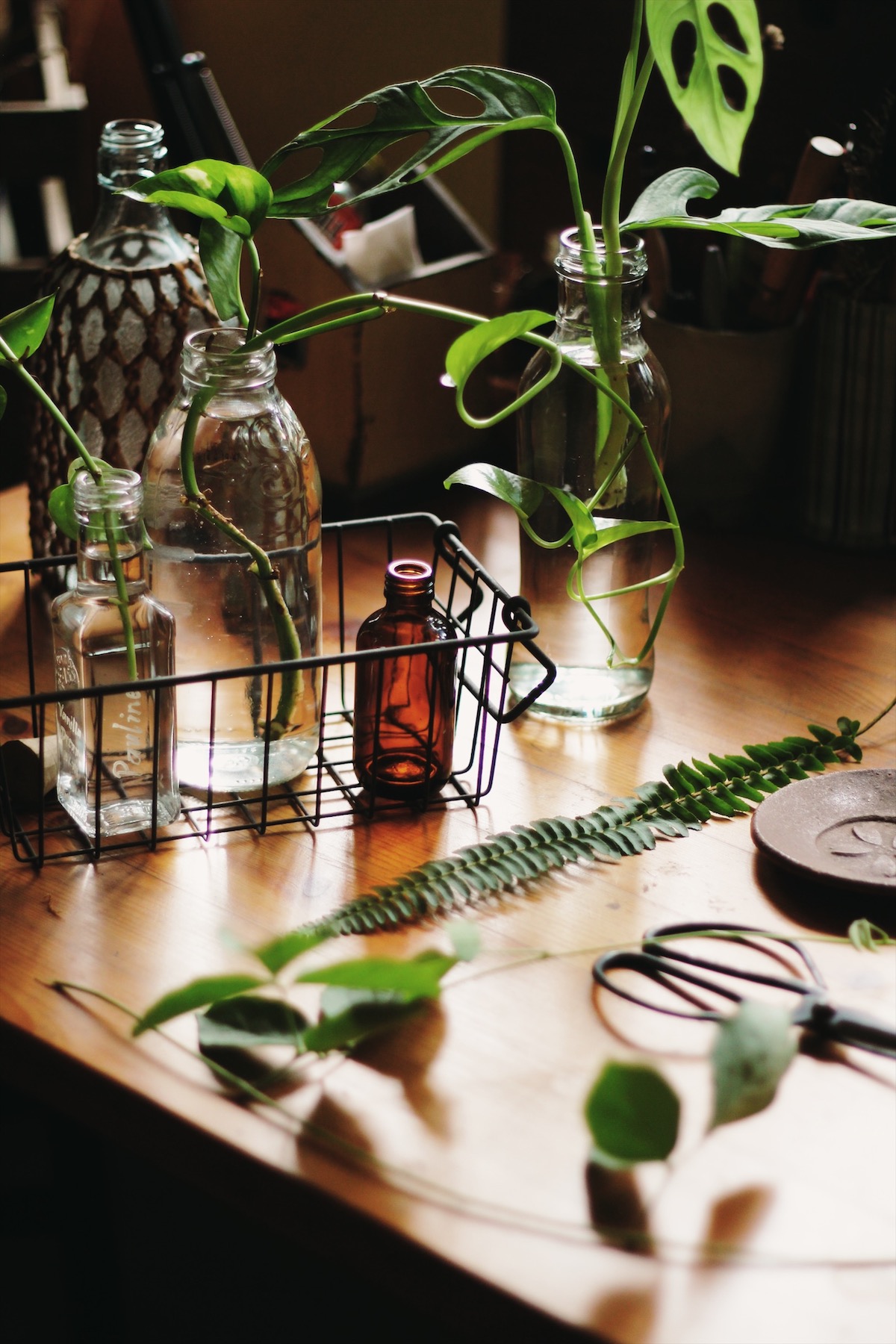 Processed with VSCO with s6 preset