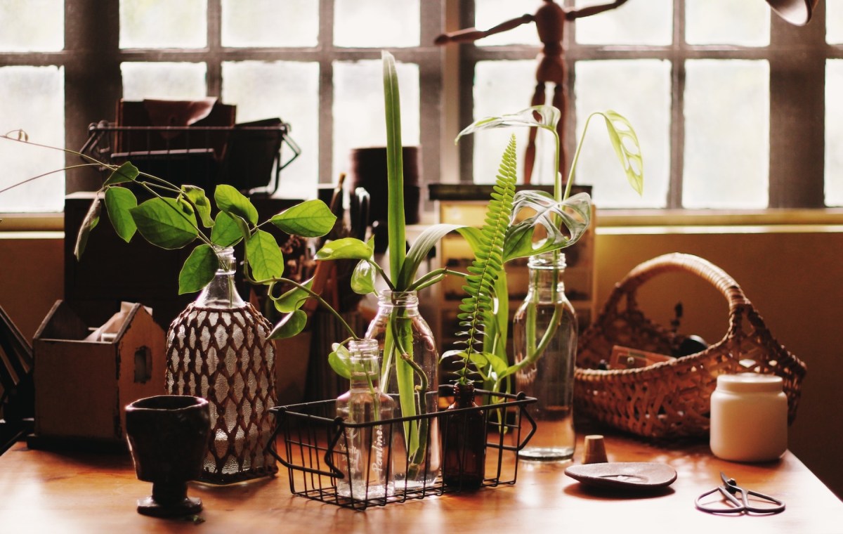 Processed with VSCO with s6 preset