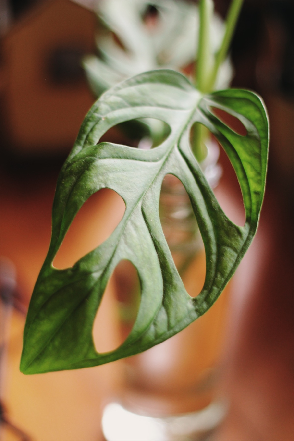 Processed with VSCO with s6 preset