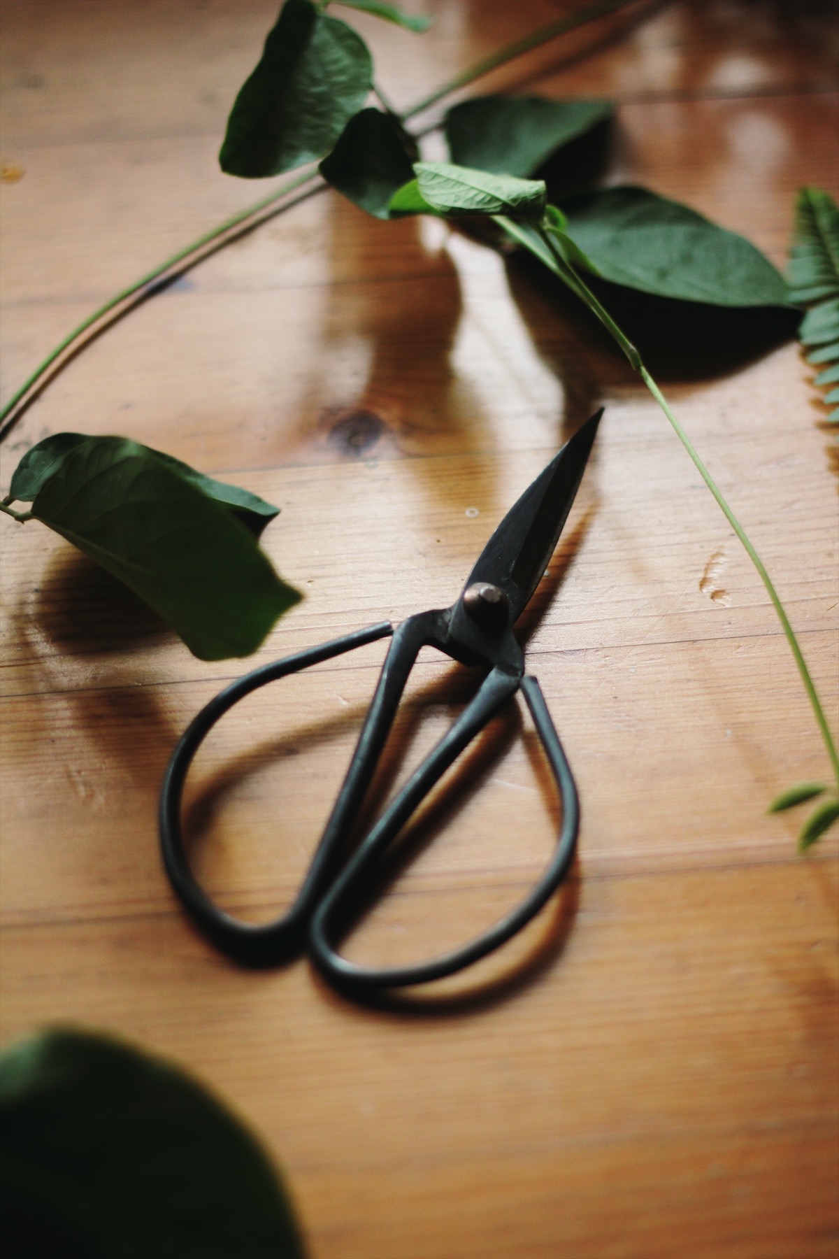 Processed with VSCO with s6 preset